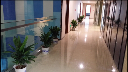 專(zhuān)業(yè)花卉出租服務(wù) 打造您的綠色空間